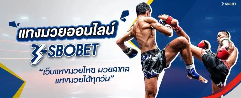 แทงมวยออนไลน์ SBOBET เว็บแทงมวยไทย มวยสากล