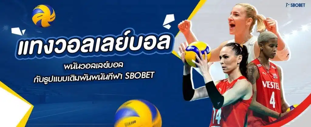 แทงวอลเลย์บอล กับรูปแบบเดิมพันพนันกีฬา SBOBET